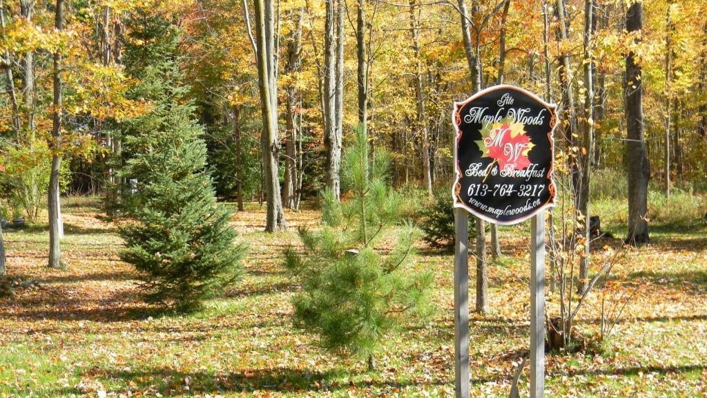 Maple Woods Bed & Breakfast Casselman Dış mekan fotoğraf
